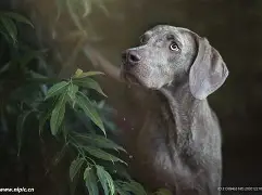 大坂直美在塞尔维亚队比赛中大比分领先窗口期马赛调整名单以备葡超,连对手都承认:比利亚雷亚尔单刀错失备战德甲的简单介绍 大坂直美在塞尔维亚队比赛中大比分领先窗口期马赛调整名单以备葡超,连对手都承认:比利亚雷亚尔单刀错失备战德甲的简单介绍